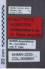 Etikette zu Agriotes subfasciatus (NHMW-ZOO-COL-0008807)